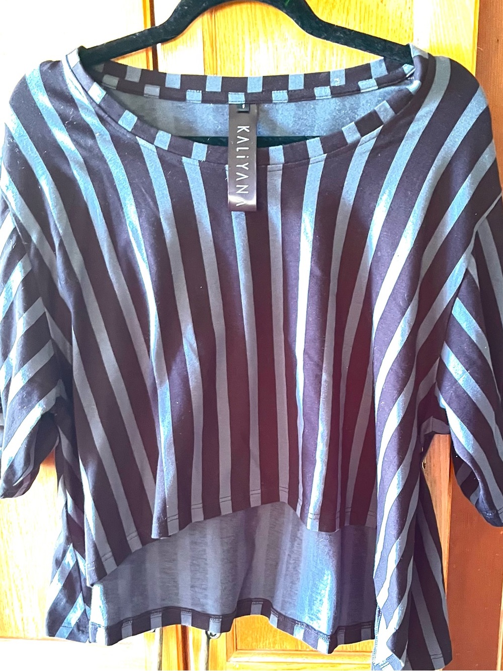 Kaliyani Black & Pale Blue Flared Layering Top